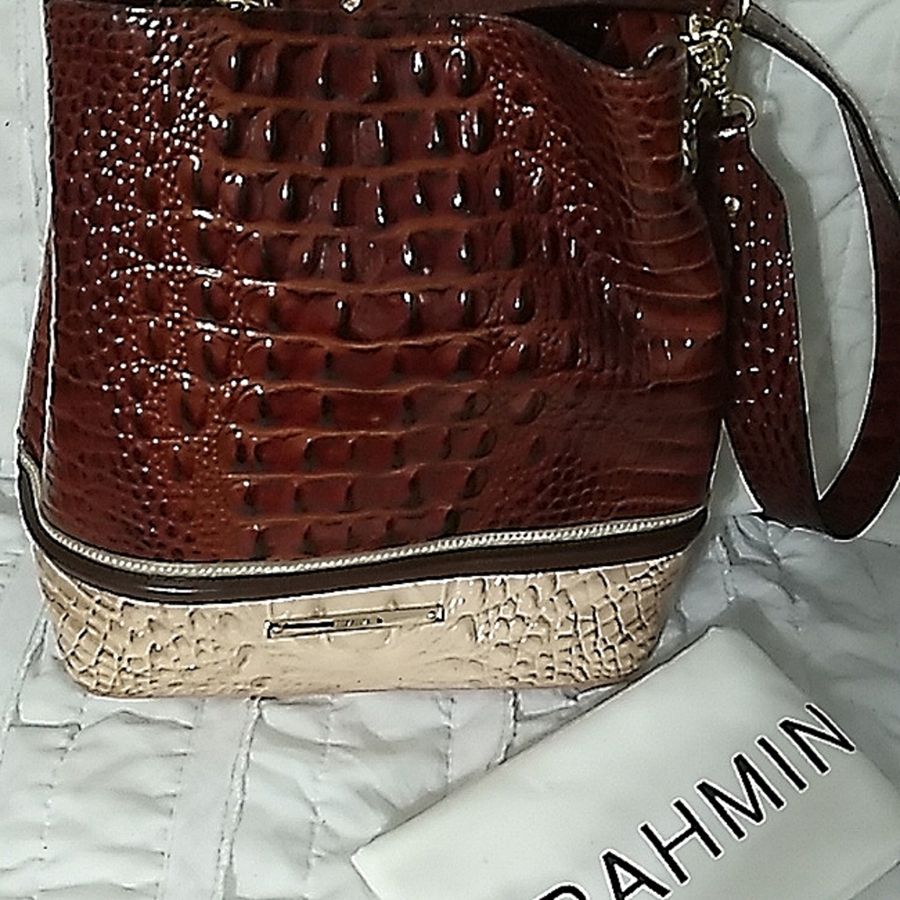 Brahmin Amelia